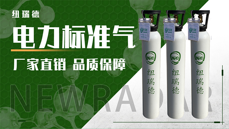 詳情-電力標(biāo)準(zhǔn)氣_01