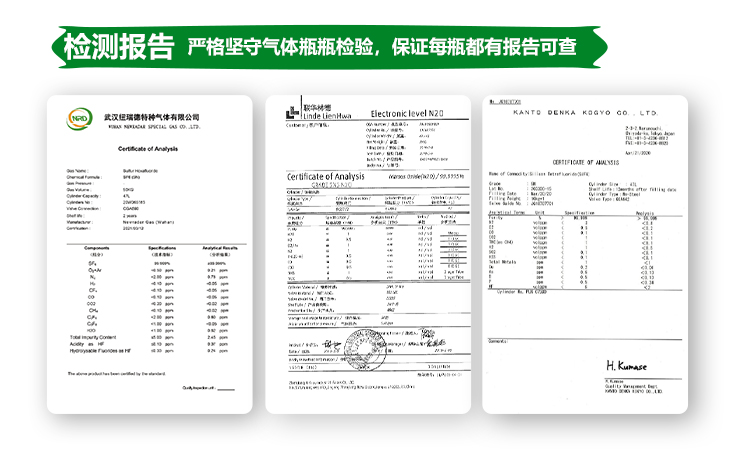 詳情-電力標(biāo)準(zhǔn)氣_13